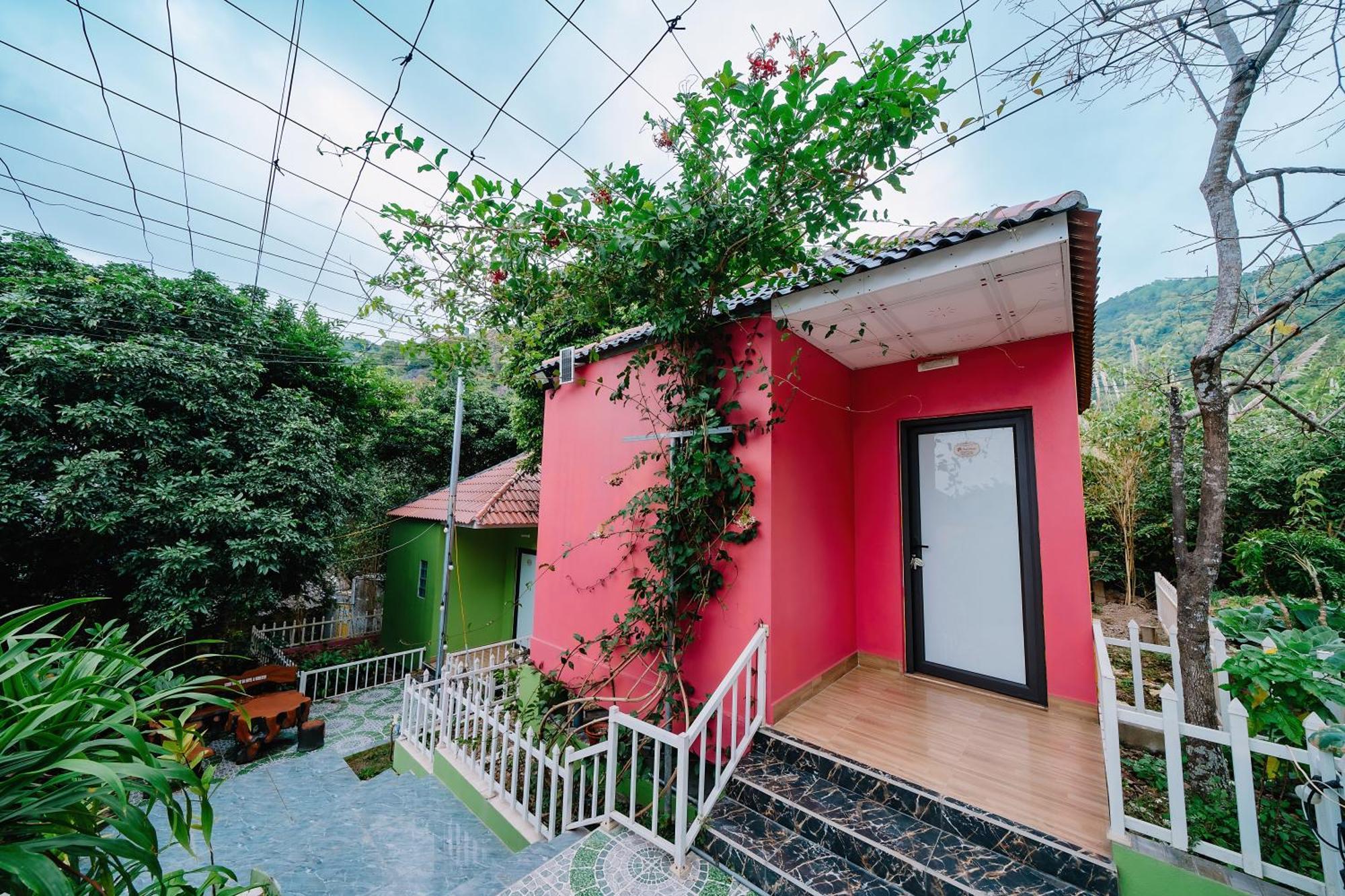 Windy Homestay Cat Ba Island Exterior foto